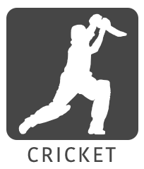 sport icon cricket grey